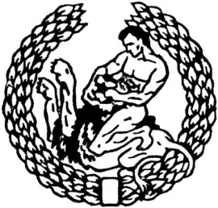 cnt
